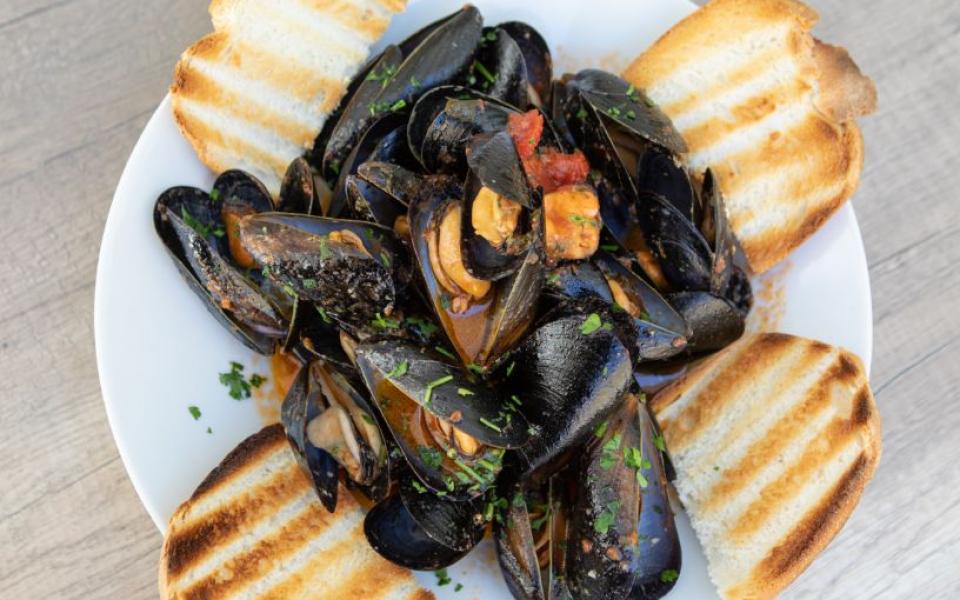 Cozze al pomodoro con prezzemolo e pane grigliato su piatto bianco.