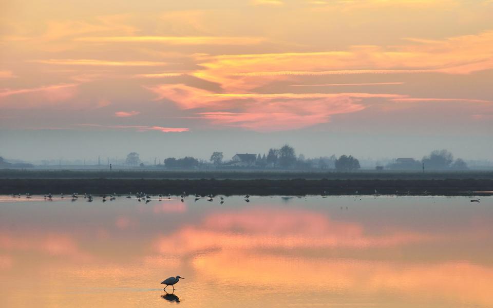 Tramonto sereno su uno stagno con un airone e riflessi colorati.